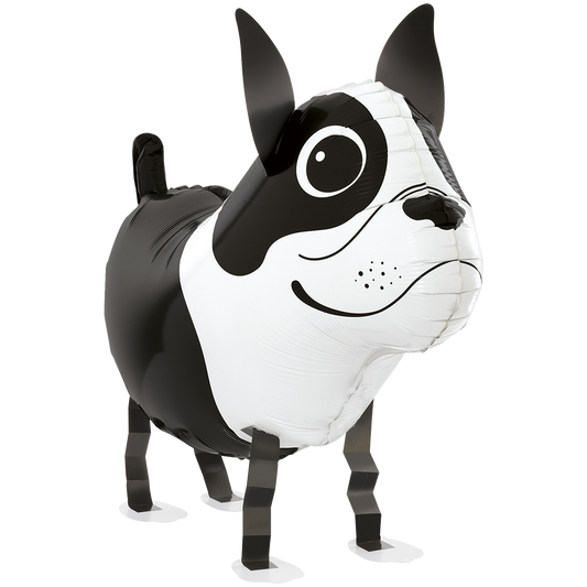 1 Ballon - Ballonvrienden - Boston Terrier