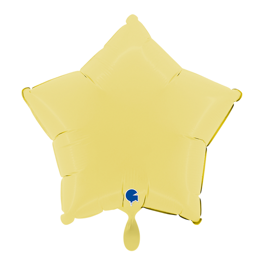 1 Ballon - Ster - Matgeel