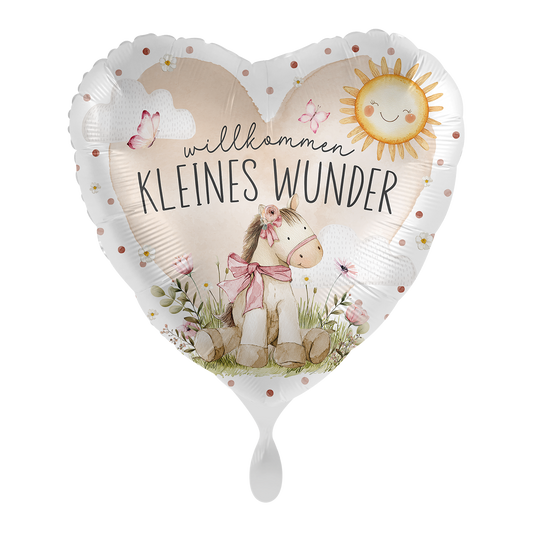 1 Ballon - Welkom klein wonder - NL