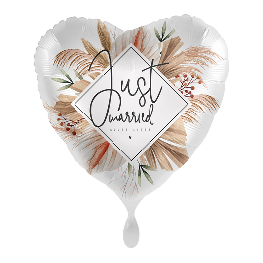 1 Ballon – Mariage pampa naturel – FR