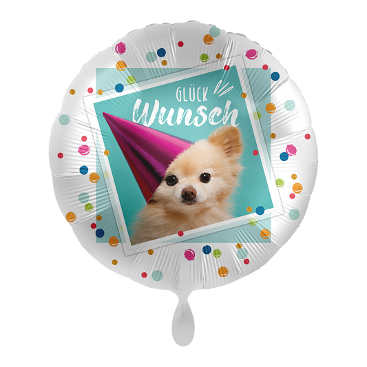 1 ballon - Félicitations gentil chiot