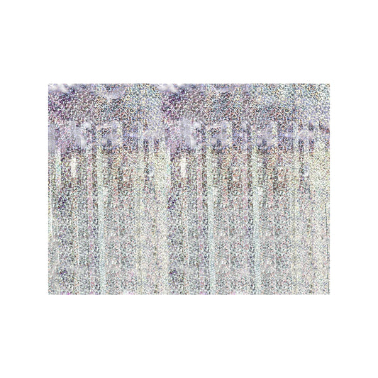 1 Rideau de fête - Holographique 100x200cm