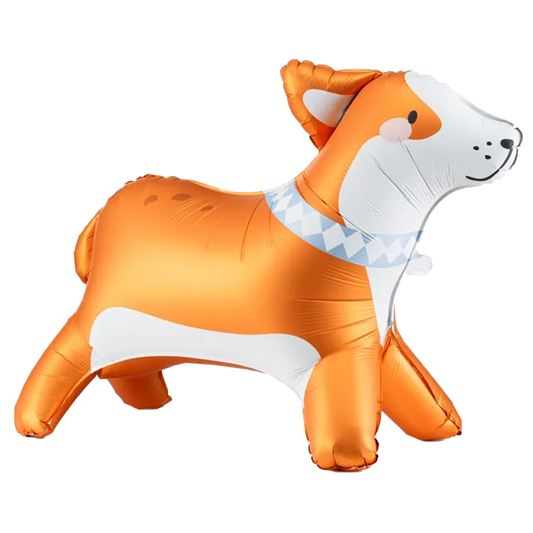 1 ballon sur pied XXL - Chien Corgi