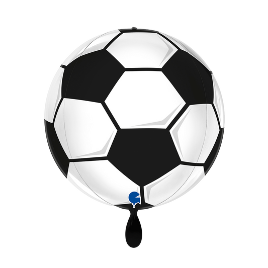 1 Ballon 4D - Globe - Ballon de football