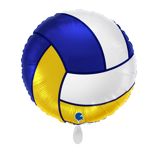 1 ballon - volley-ball