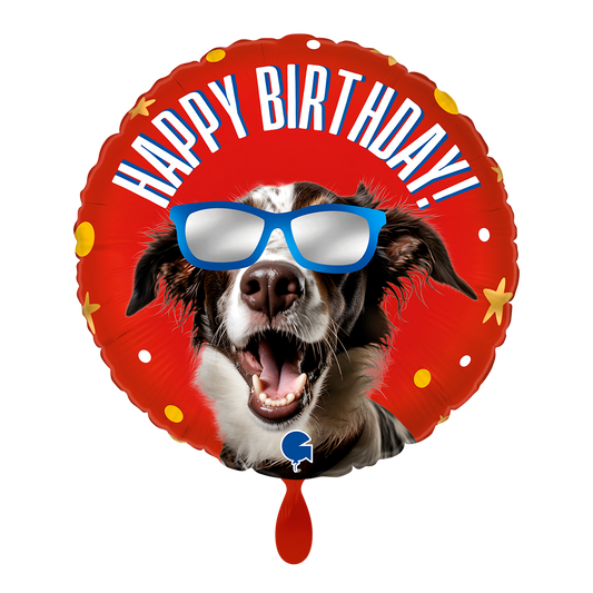 1 ballon - Cool Doggy Anniversaire