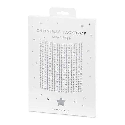 1 Rideau scintillant - 2,5m - Silver Stars