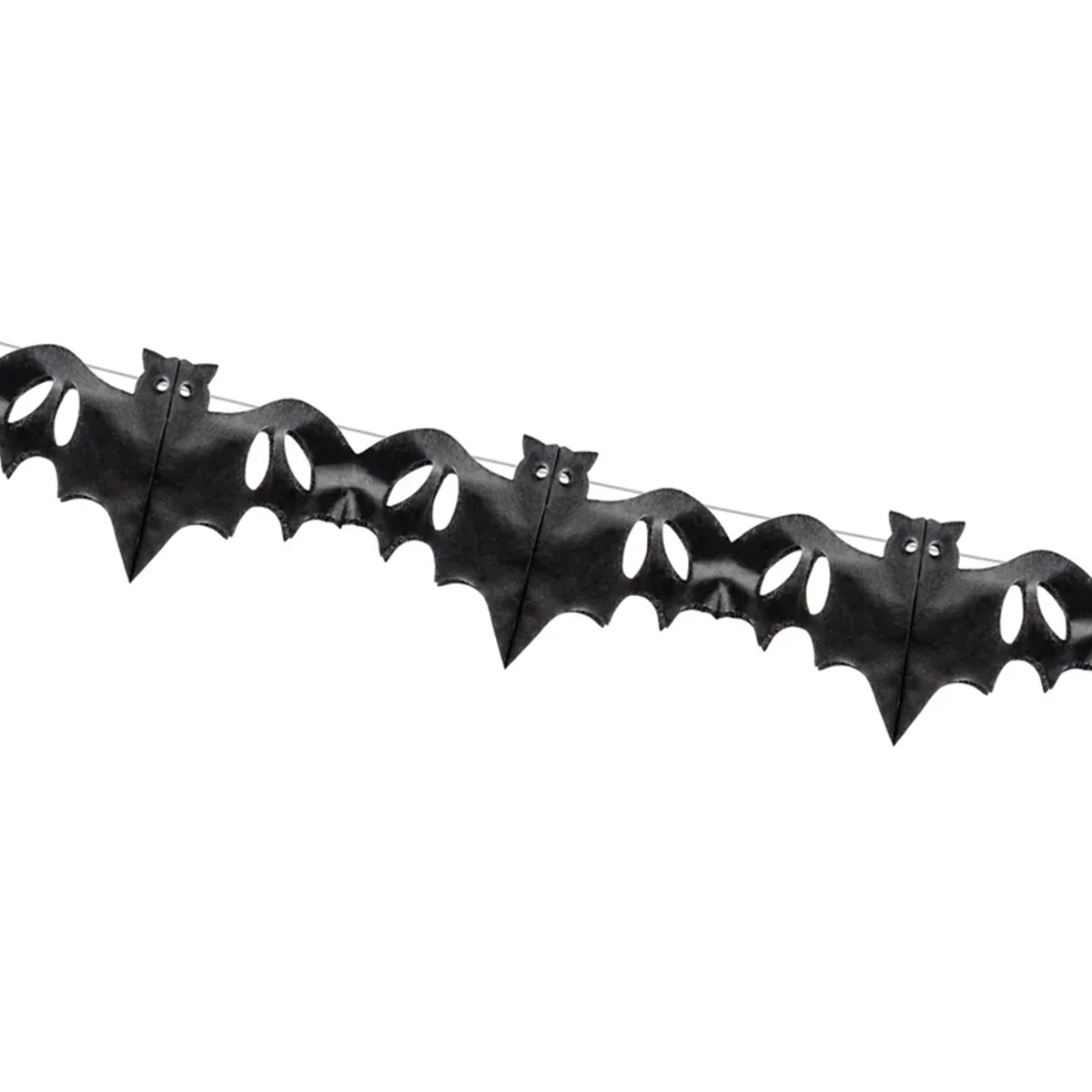 1 slinger - Vleermuizen