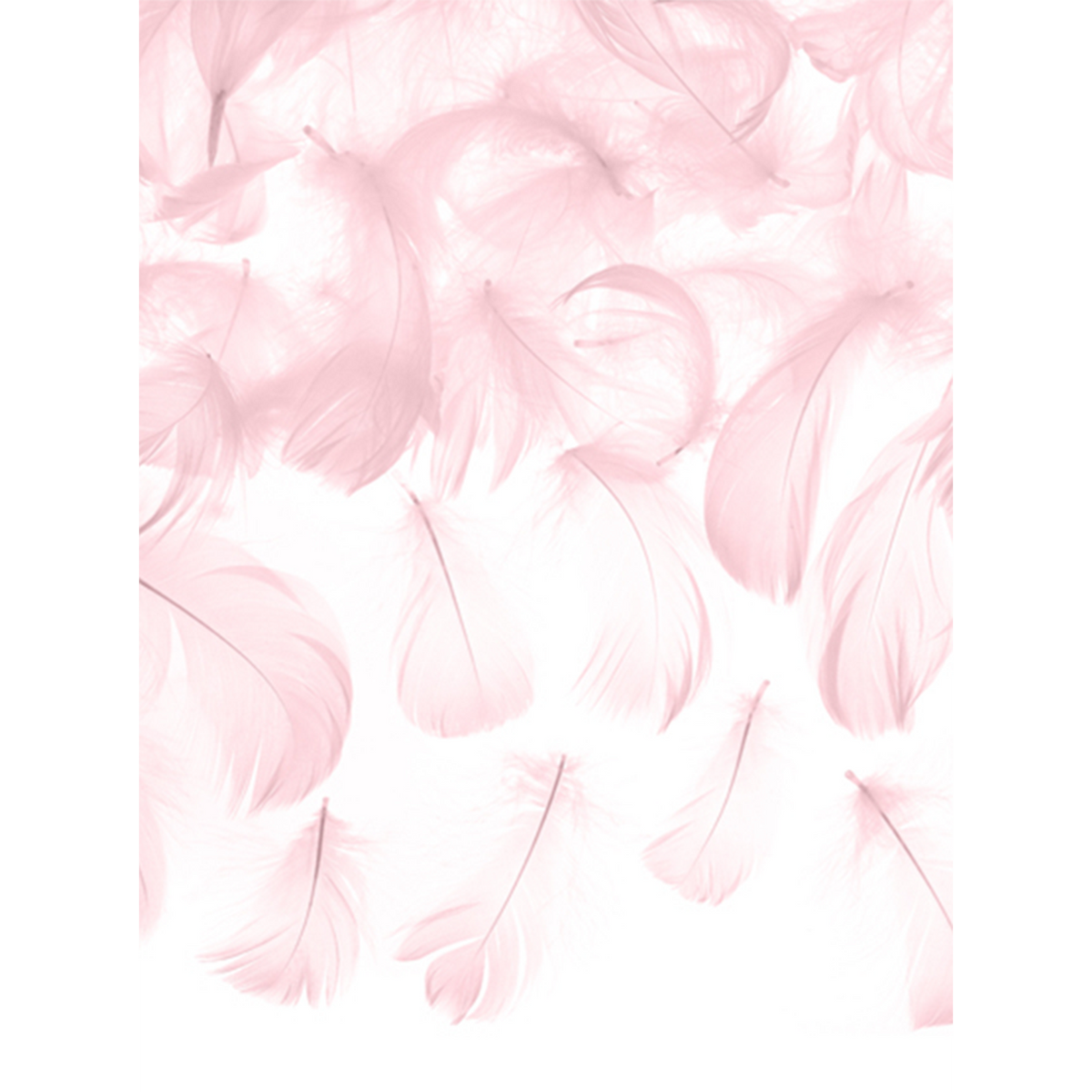 3g Decoratieve veren - Roze