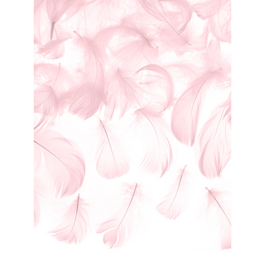 3g Decoratieve veren - Roze