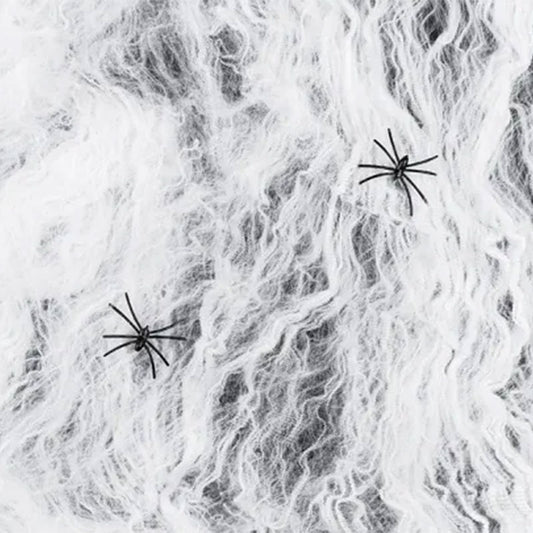 1 Halloween spinnenweb - wit