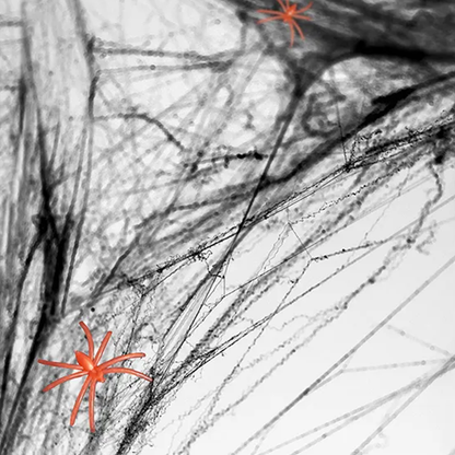 1 Halloween spinnenweb - zwart