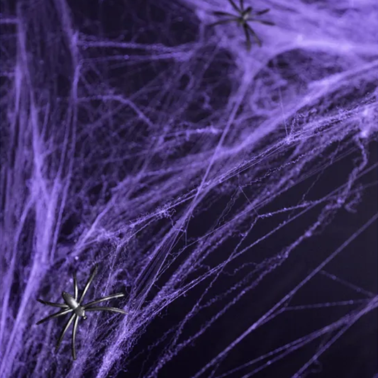 1 Halloween Spinnenweb - Paars