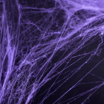 1 toile d'araignée d'Halloween - violette