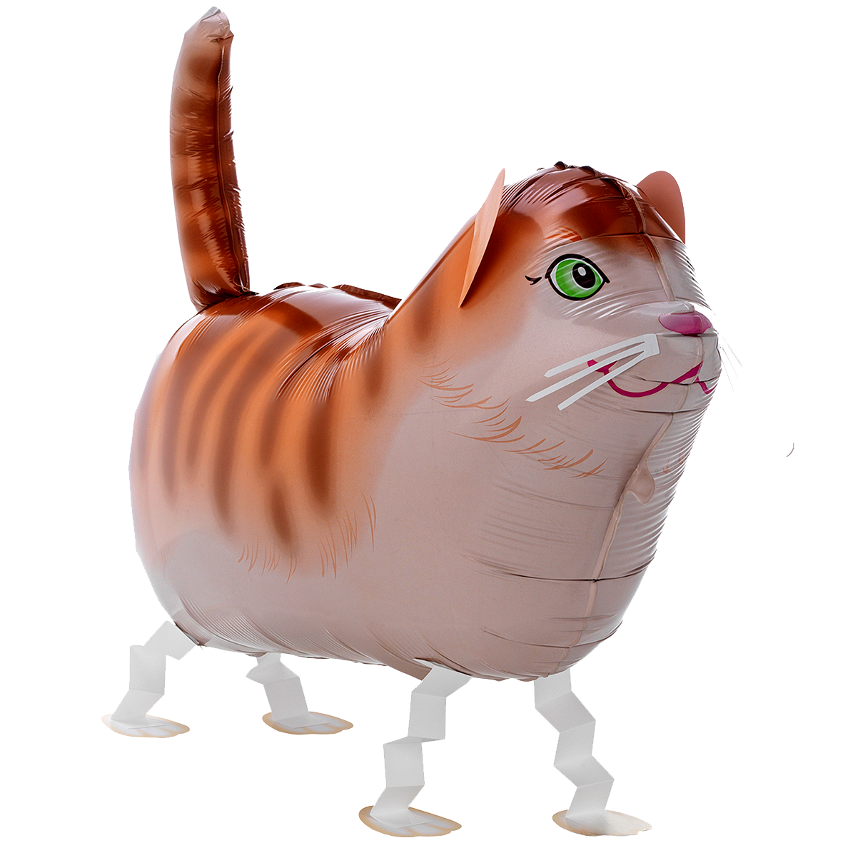 1 Ballon XXL - Promeneur d'animaux de compagnie - Tommy le chat