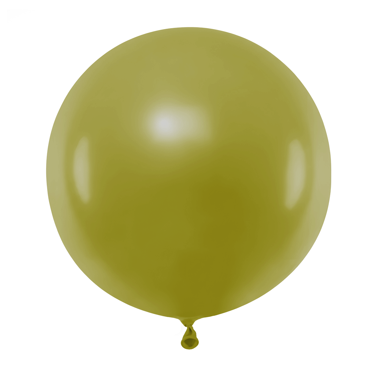 3 ballons - Ø61 cm - Eucalyptus