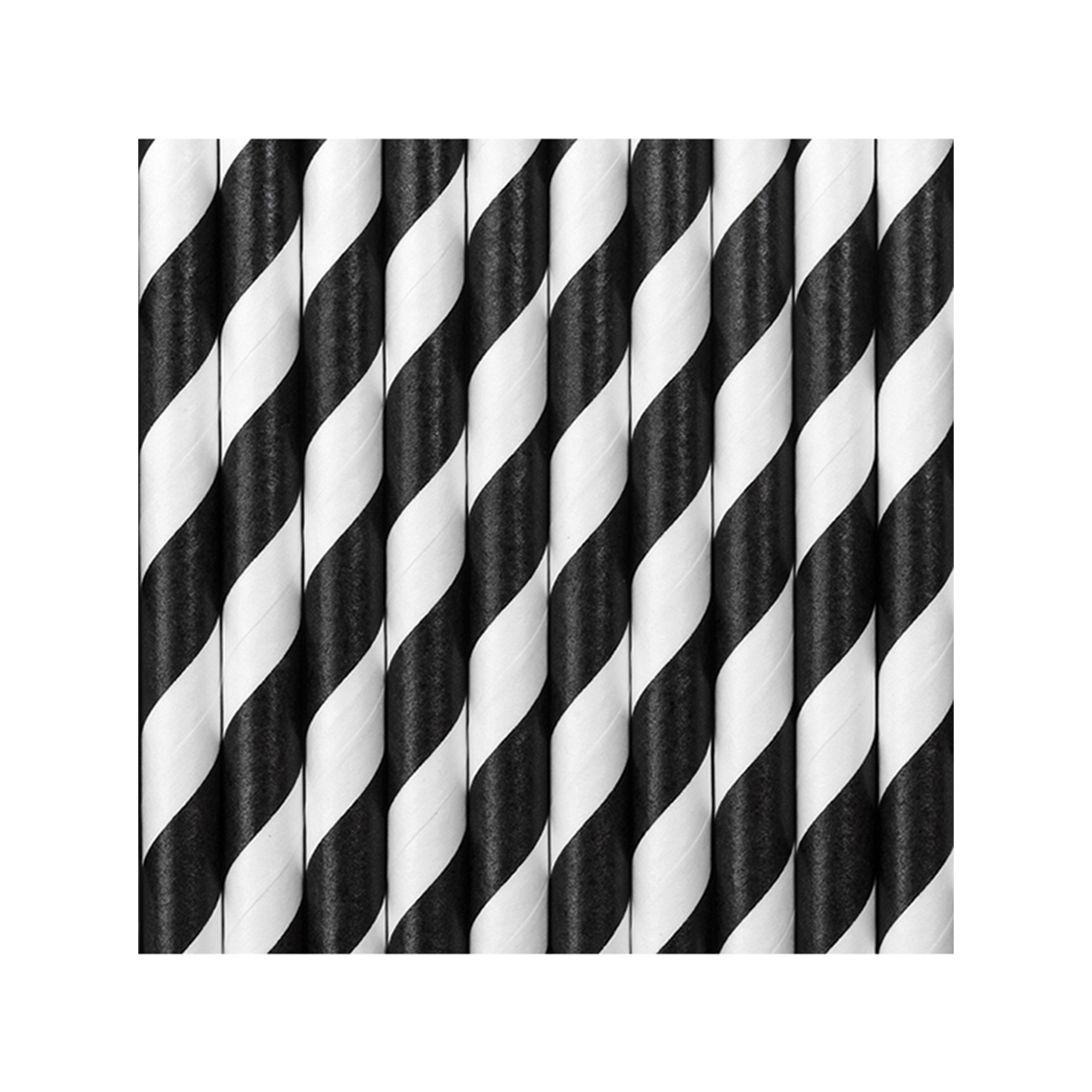 10 pailles en papier - Mix - Noir