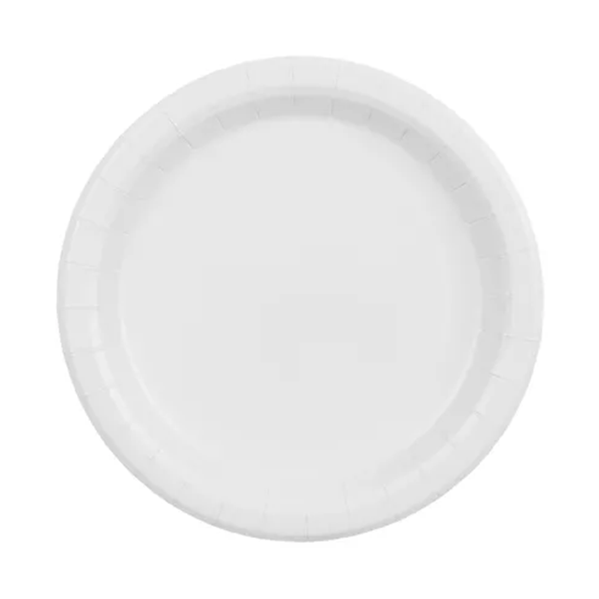 6 assiettes en carton - Blanches - 23cm