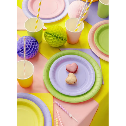 6 assiettes en carton - Vert clair - 23 cm